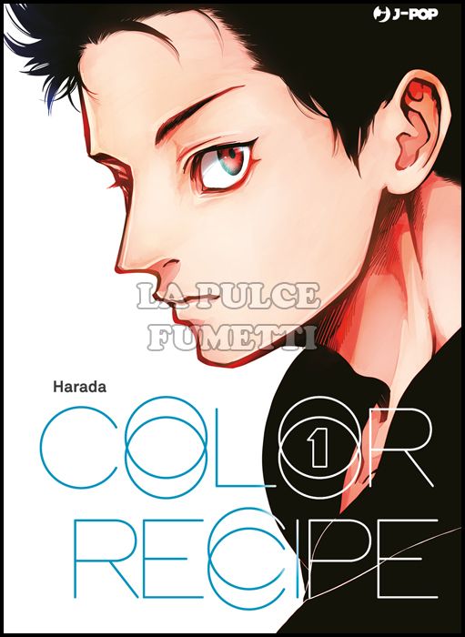 COLOR RECIPE # 1